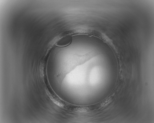 X0000064040106200602031608