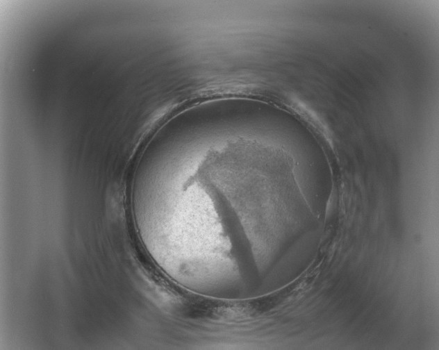 X0000064040107200602031608