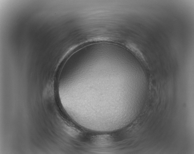 X0000064040108200602031608