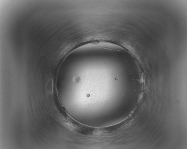 X0000064040109200602031608