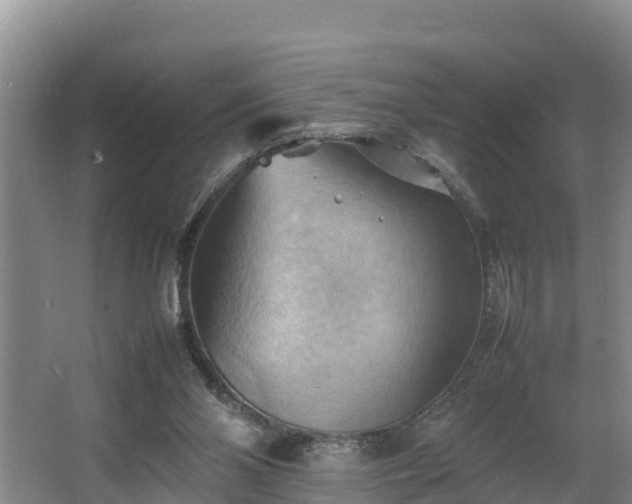 X0000064040110200602031608