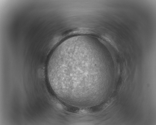 X0000064040111200602031608