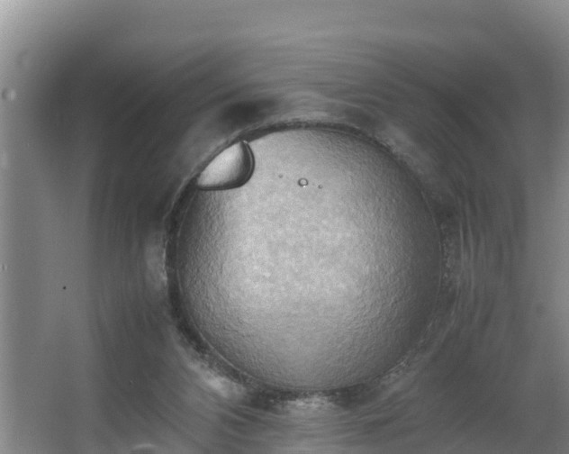 X0000064040112200602031608