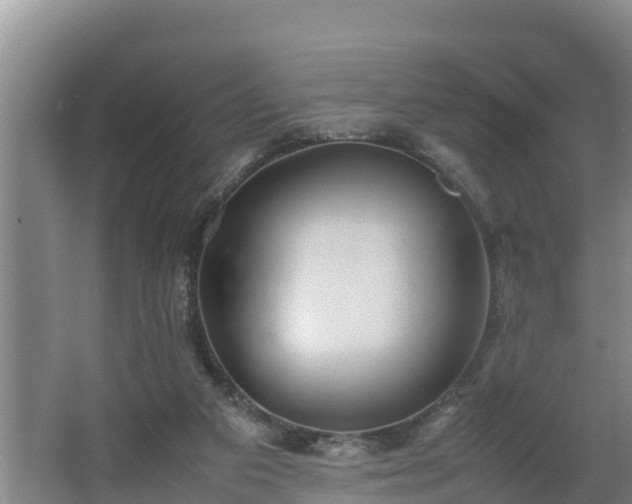 X0000064040113200602031608