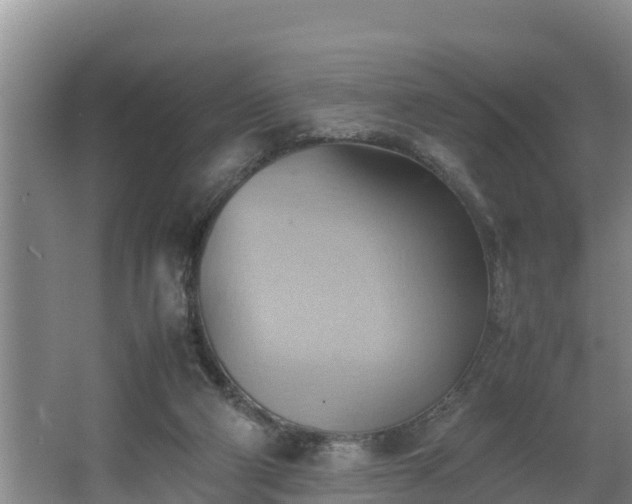 X0000064040114200602031607