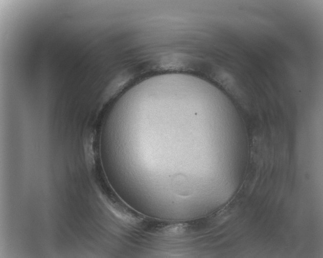 X0000064040116200602031607