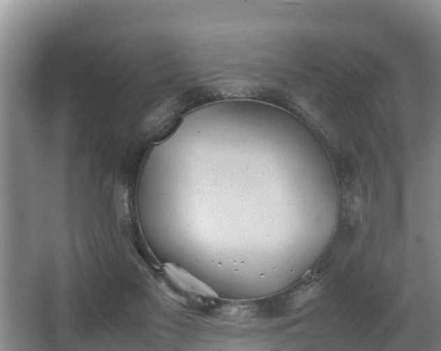 X0000064040117200602031607