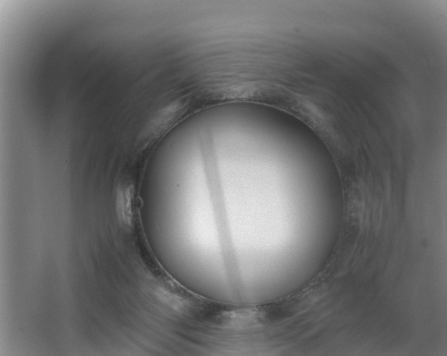 X0000064040118200602031607