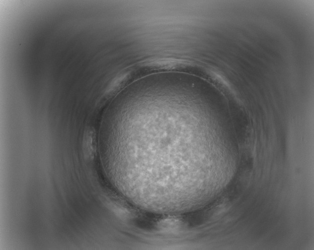 X0000064040119200602031607