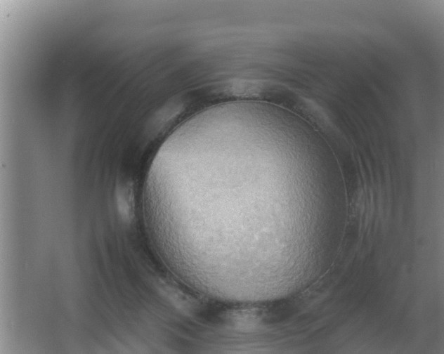 X0000064040120200602031607