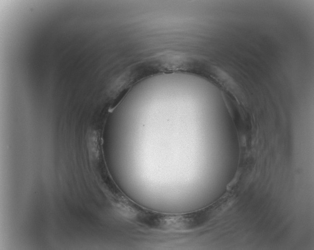 X0000064040121200602031607