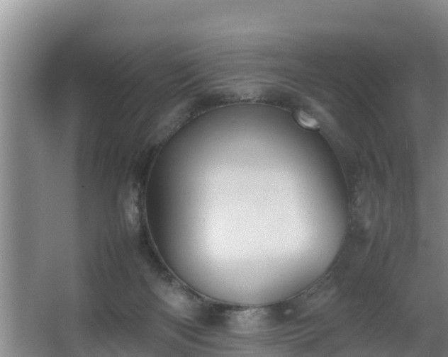 X0000064040122200602031607