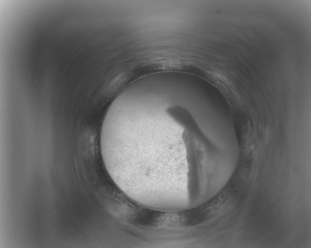 X0000064040123200602031607