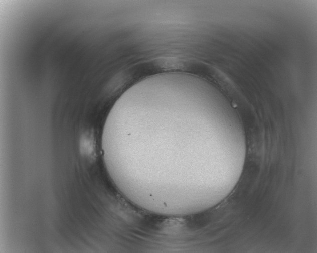 X0000064040124200602031607