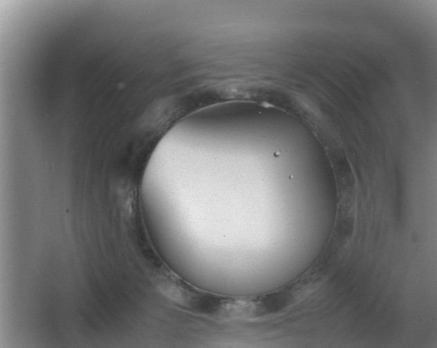 X0000064040125200602031607