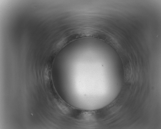 X0000064040126200602031607