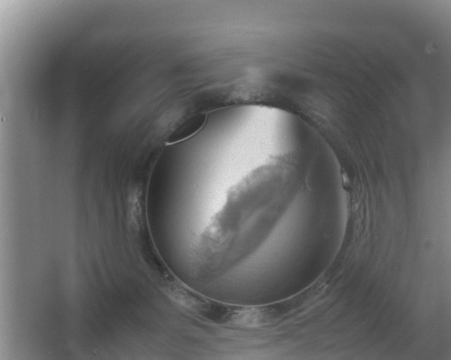 X0000064040127200602031607