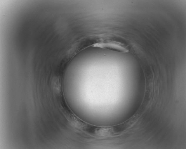 X0000064040129200602031607