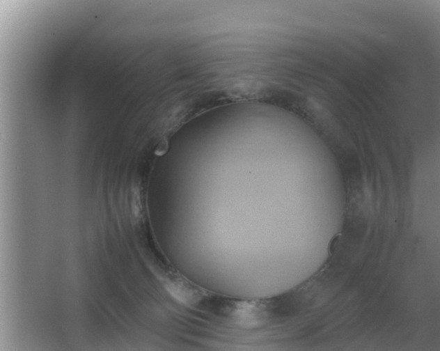 X0000064040130200602031607