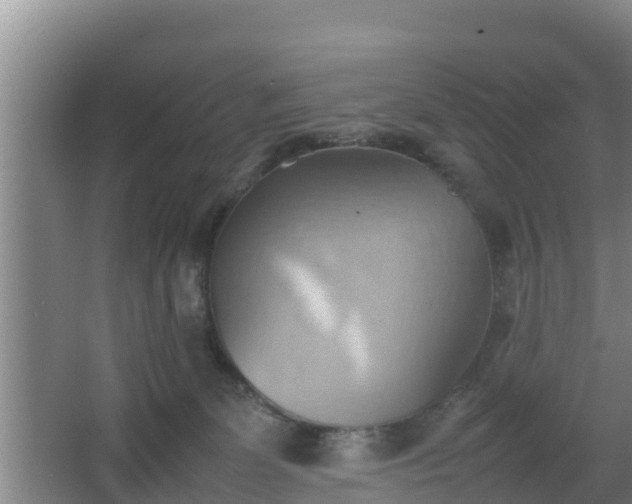 X0000064040131200602031607