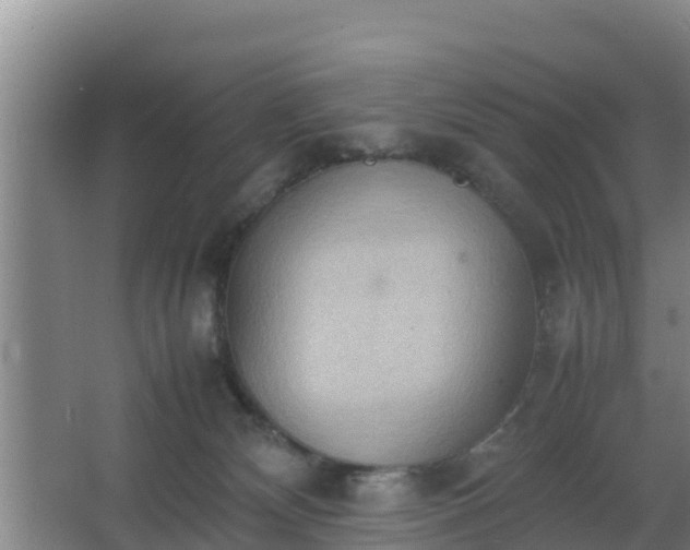 X0000064040132200602031607