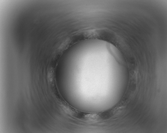 X0000064040133200602031607