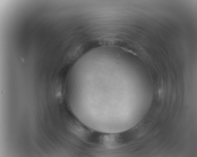 X0000064040134200602031607