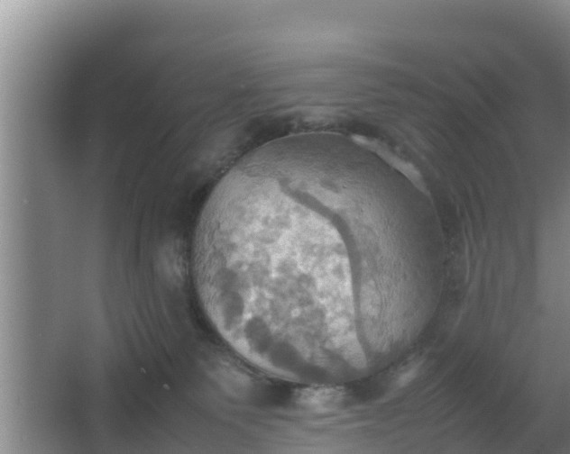 X0000064040135200602031607