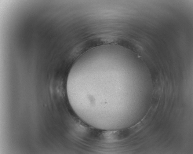 X0000064040136200602031607