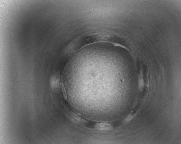 X0000064040137200602031607