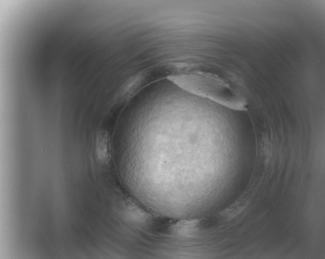 X0000064040138200602031607