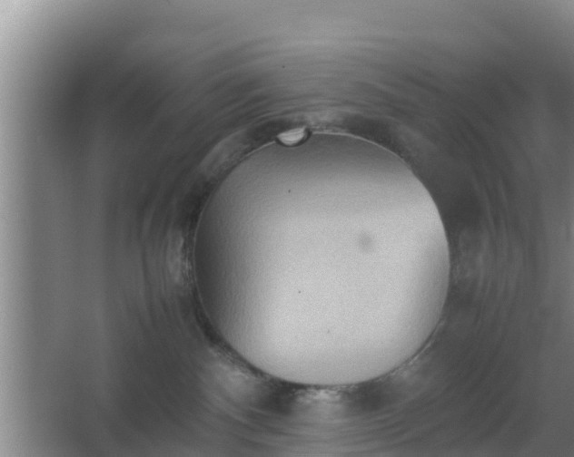 X0000064040140200602031607