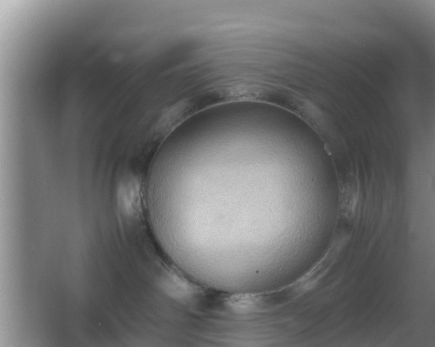 X0000064040142200602031607