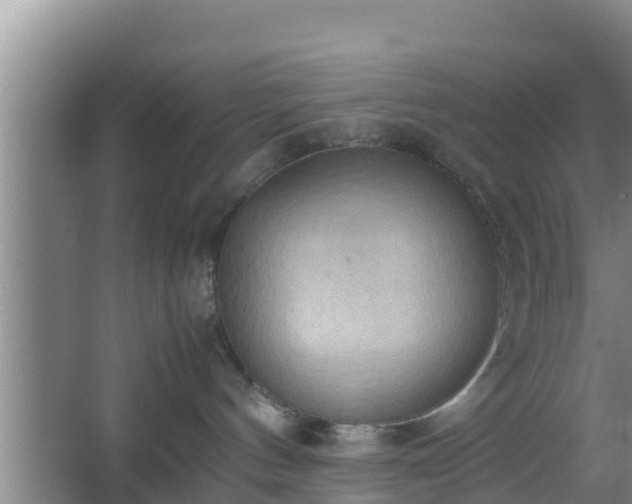 X0000064040144200602031607