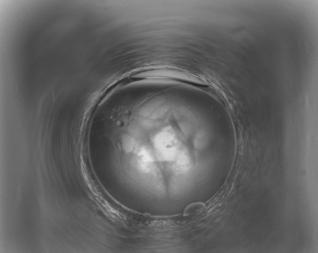 X0000064040145200602031606