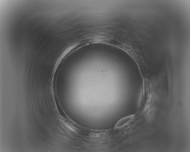 X0000064040147200602031606