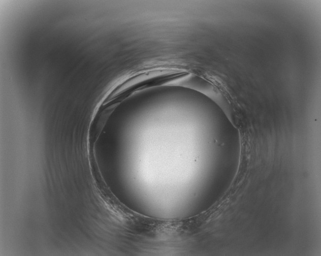 X0000064040148200602031606