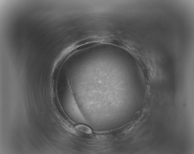 X0000064040149200602031606