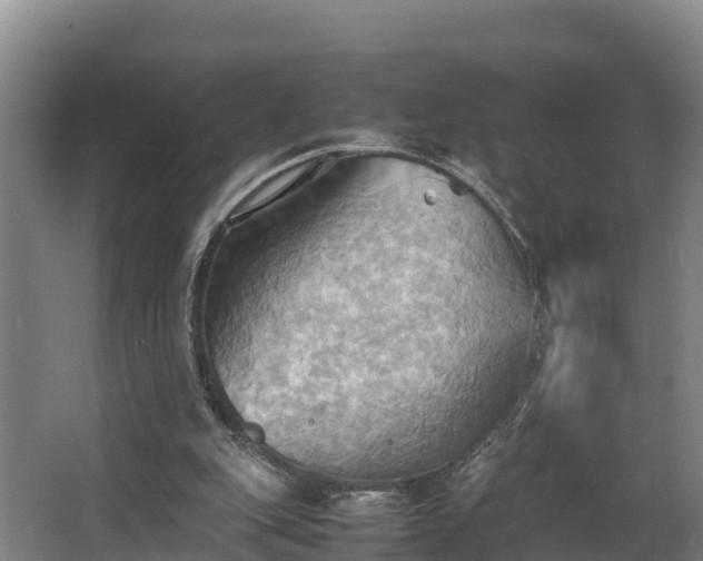 X0000064040151200602031606