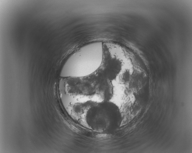 X0000064040153200602031606