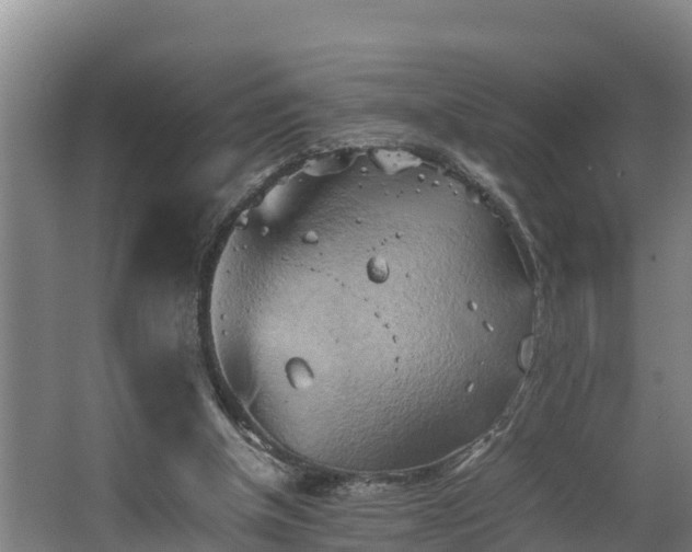 X0000064040154200602031606