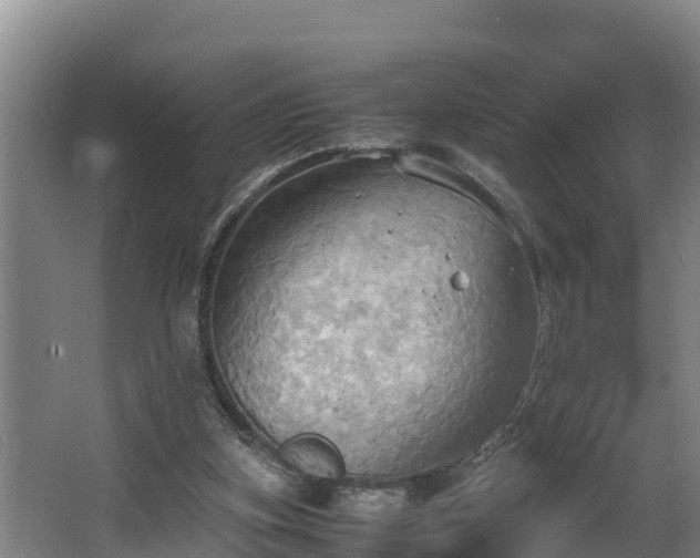 X0000064040155200602031606