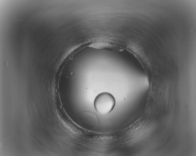 X0000064040156200602031606