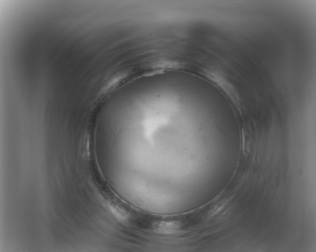 X0000064040157200602031606