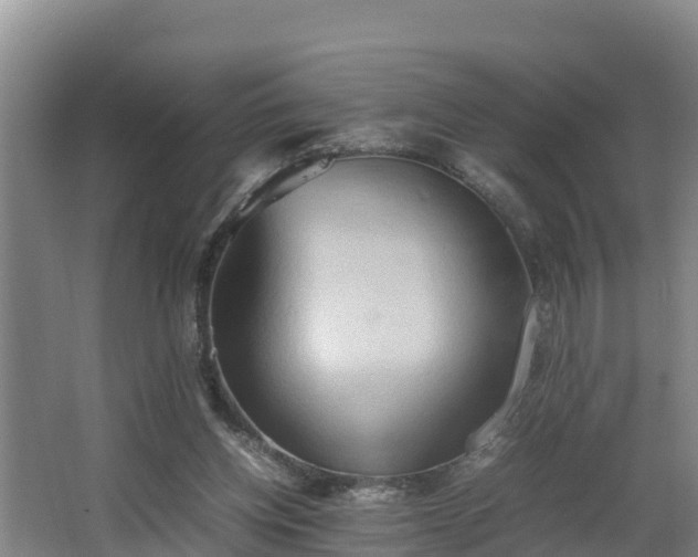 X0000064040158200602031606