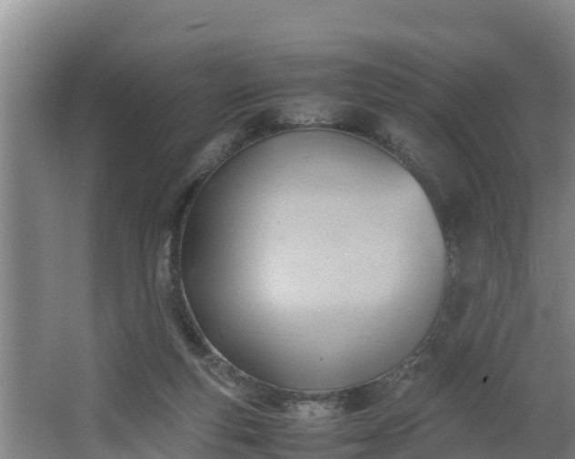 X0000064040163200602031606