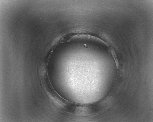 X0000064040164200602031606