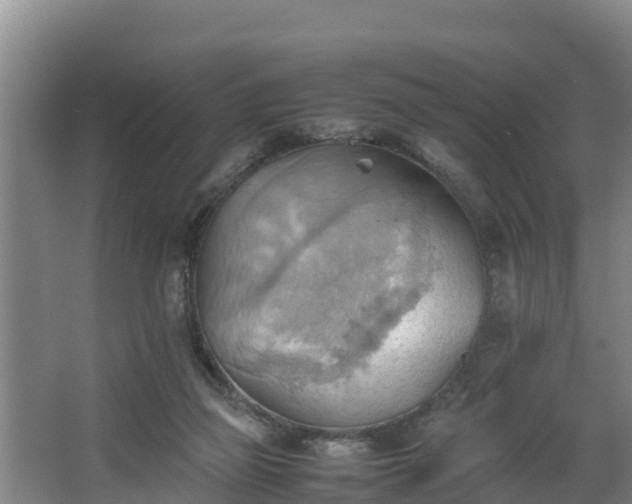 X0000064040165200602031607