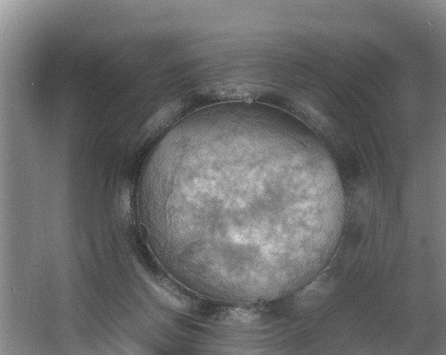 X0000064040166200602031607