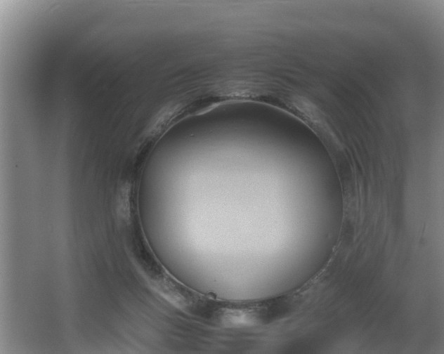 X0000064040167200602031607